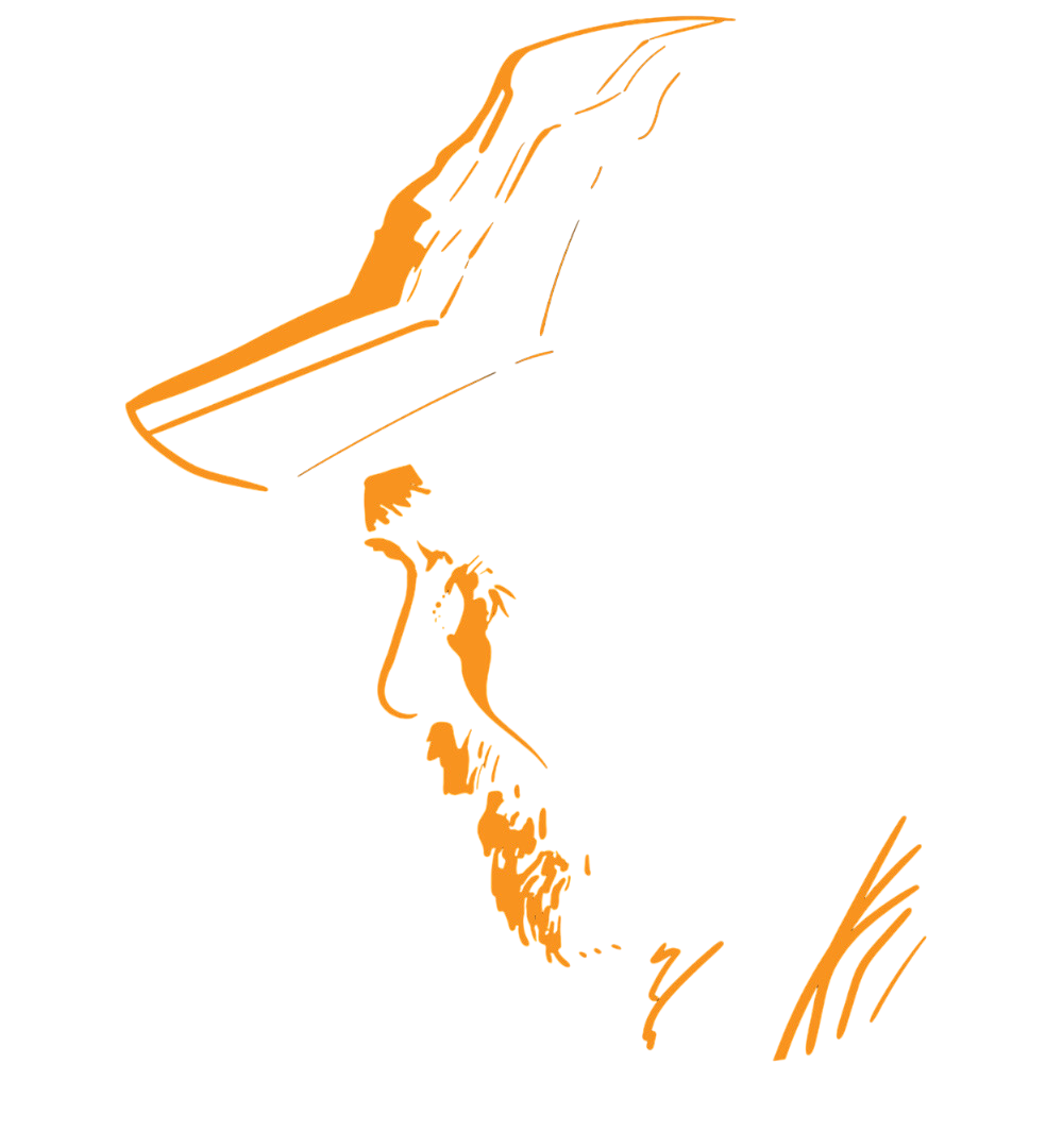 Kullanıcı fotoğrafı