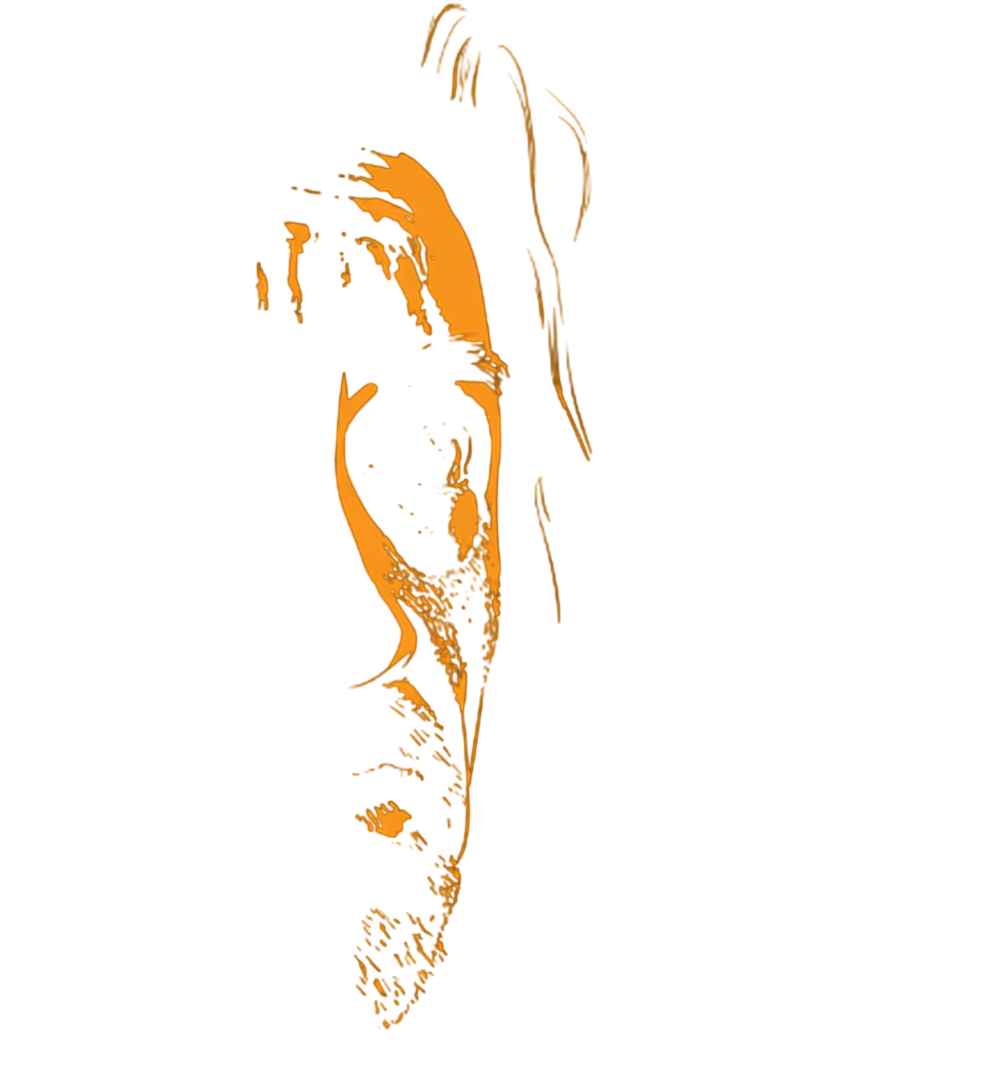 Kullanıcı fotoğrafı